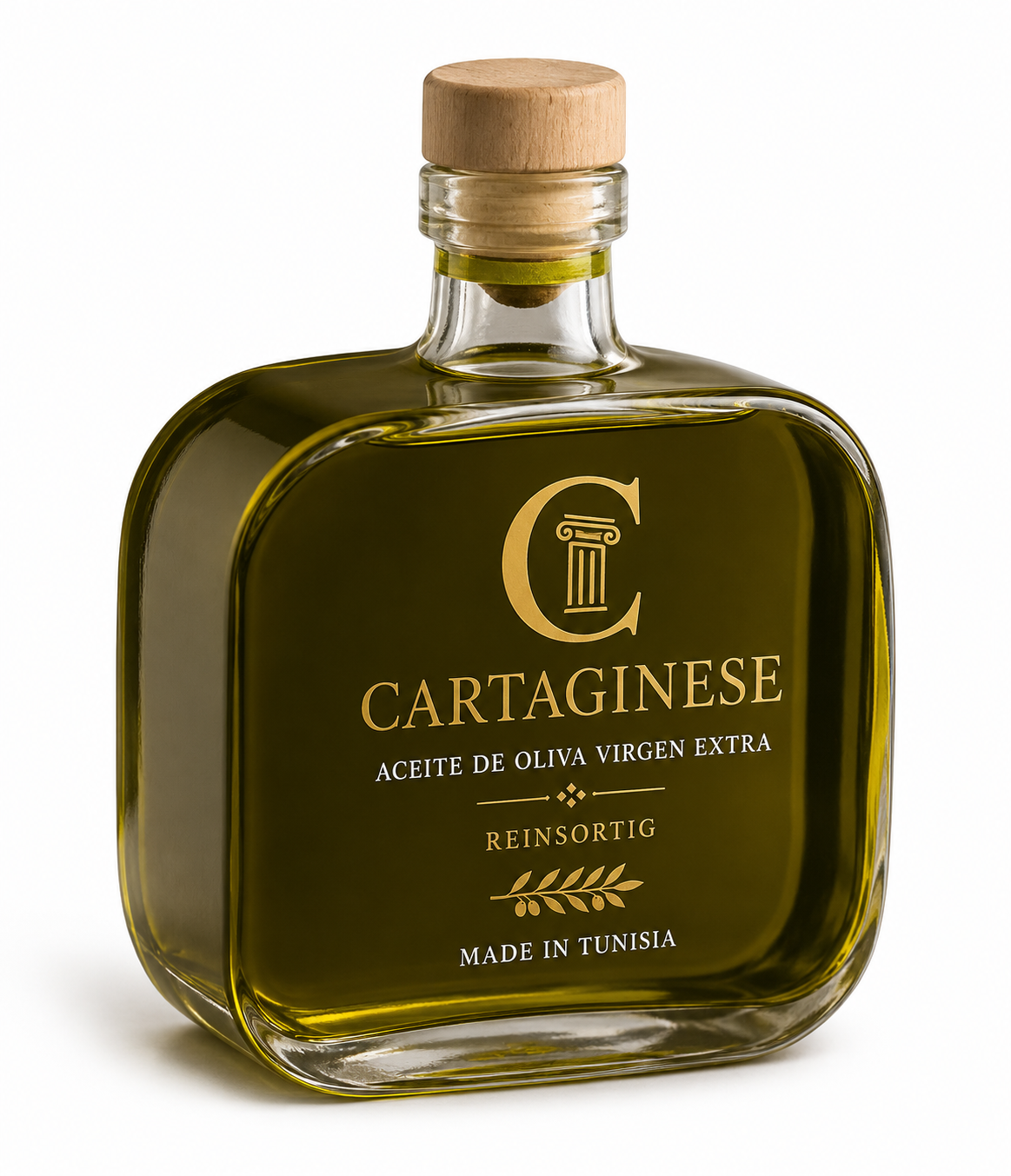 Cartaginese Reinsortig — Studio
